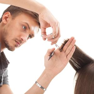 Парикмахерские Красногвардейского