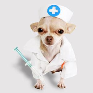 Ветпомощь на дому Красногвардейского